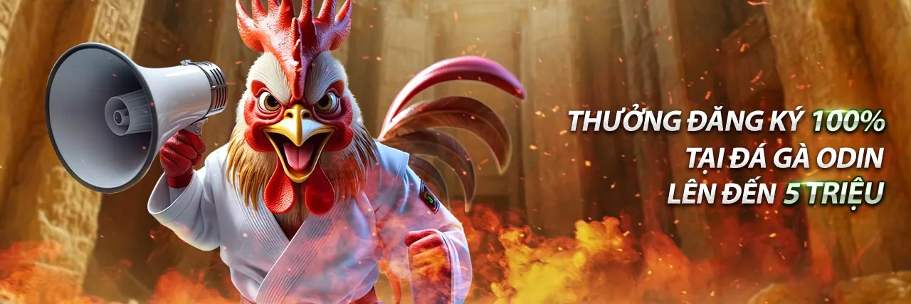 Nền tảng W88link 2026